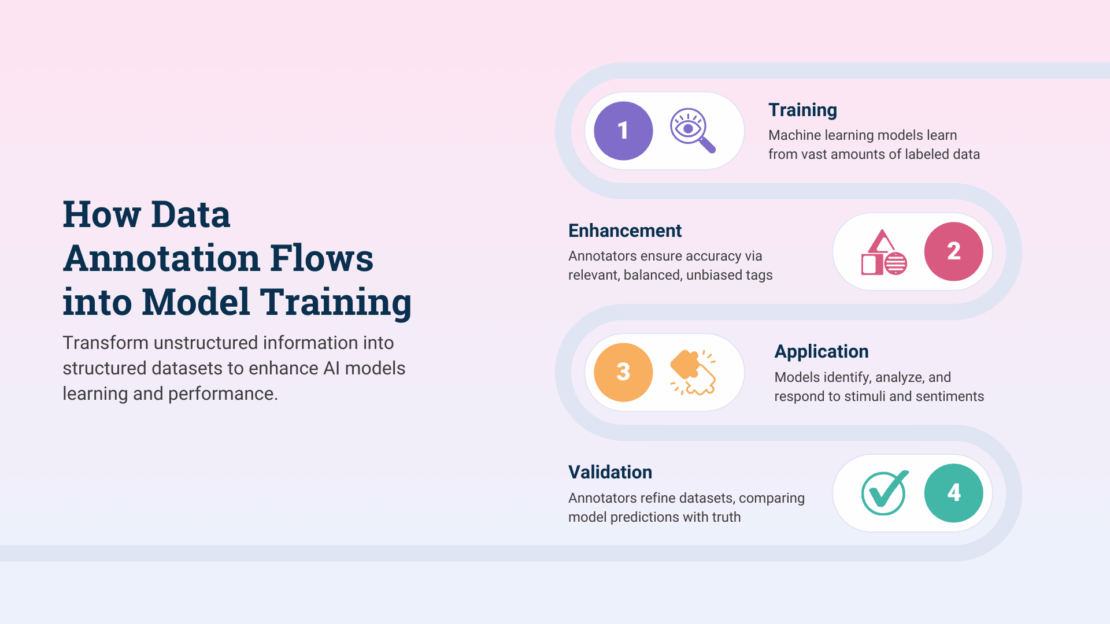 How Data Annotation Flows into Model Training