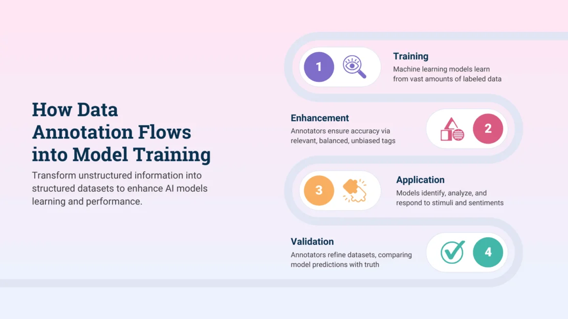 How Data Annotation Flows into Model Training